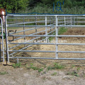 Galavnized horse fencing horse